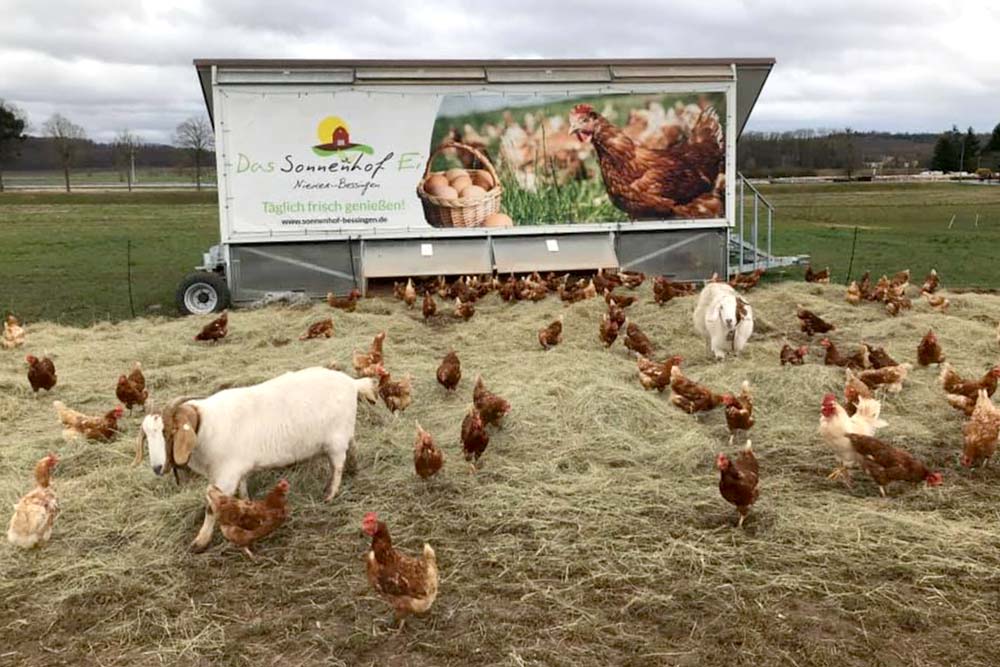 Banner Hühnermobilstall